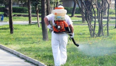 Комари нападнаха Пловдив, пръскат усилено в следващите два дни