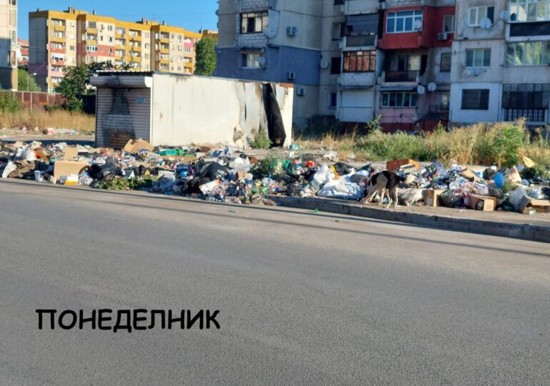 Само ден след голямото почистване: Нови сметища никнат в "Столипиново" (СНИМКИ)