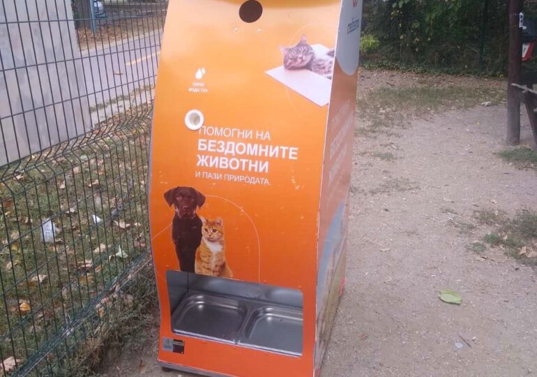 За пръв път в Пловдив: Автомат за хранене на бездомни животни срещу рециклиране