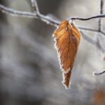 В разгара на лятото: Сняг падна в България 17 В разгара на лятото: Сняг падна в България