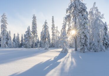 Климатолог: В петък ще посрещаме бяла зима
