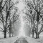 Докога ще продължат ледените дни: Прогнозата на проф. Георги Рачев