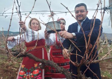 Зарязаха лозите в община "Родопи", Брестовица бе в центъра на празненствата (СНИМКИ)
