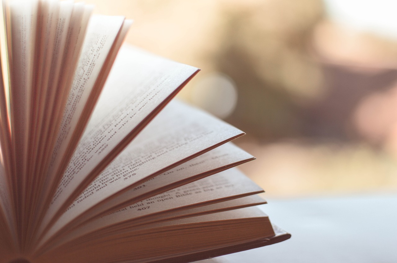 Повече от премиера: Представят интересна книга в асеновградско село