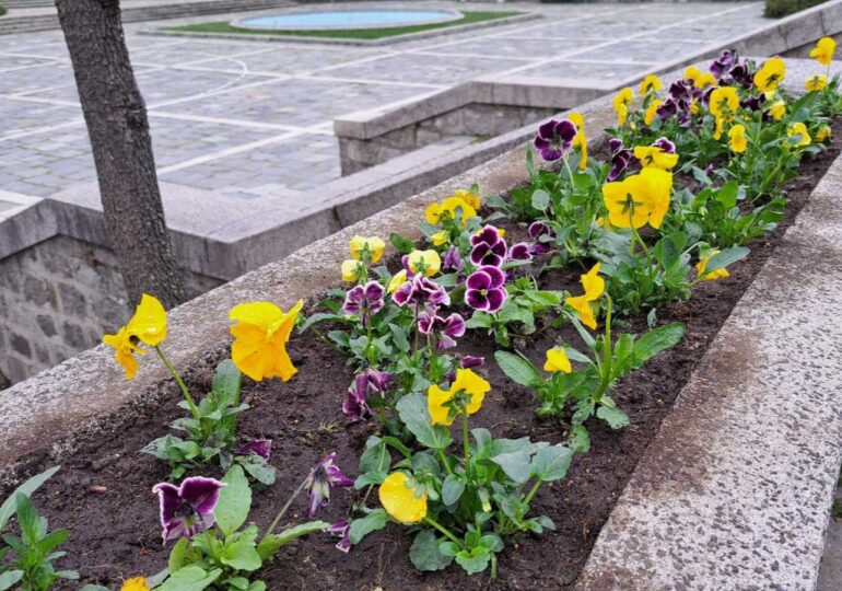 2000 пролетни цветя засадиха на Бунарджика, пътеките към върха са почистени (ГАЛЕРИЯ)