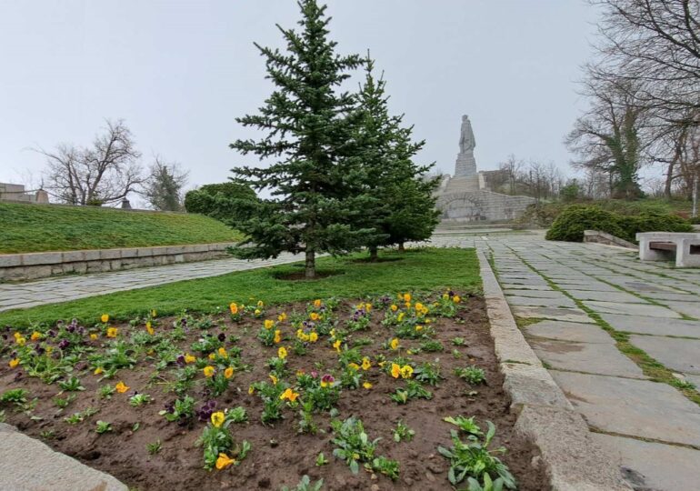 2000 пролетни цветя засадиха на Бунарджика, пътеките към върха са почистени (ГАЛЕРИЯ)