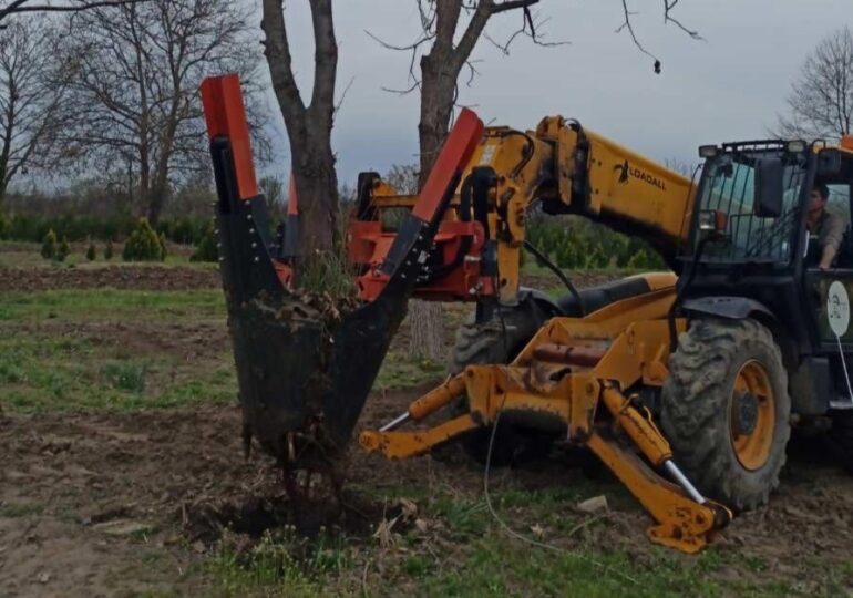 Община Пловдив закупи машина за преместване на големи дървета
