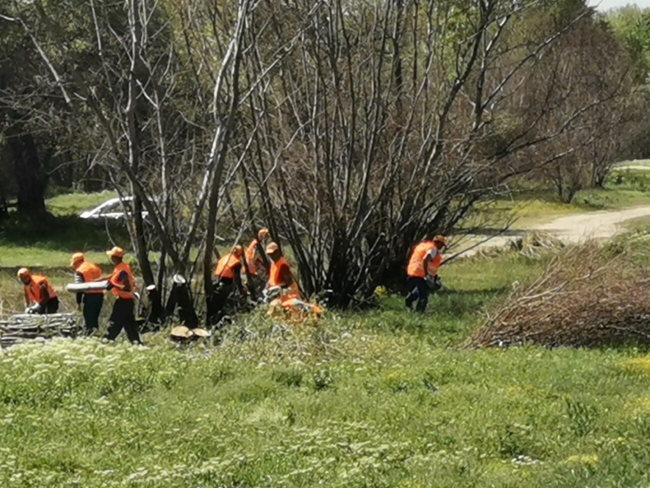 Започна разчистването на растителността в коритото на река Марица (СНИМКИ)