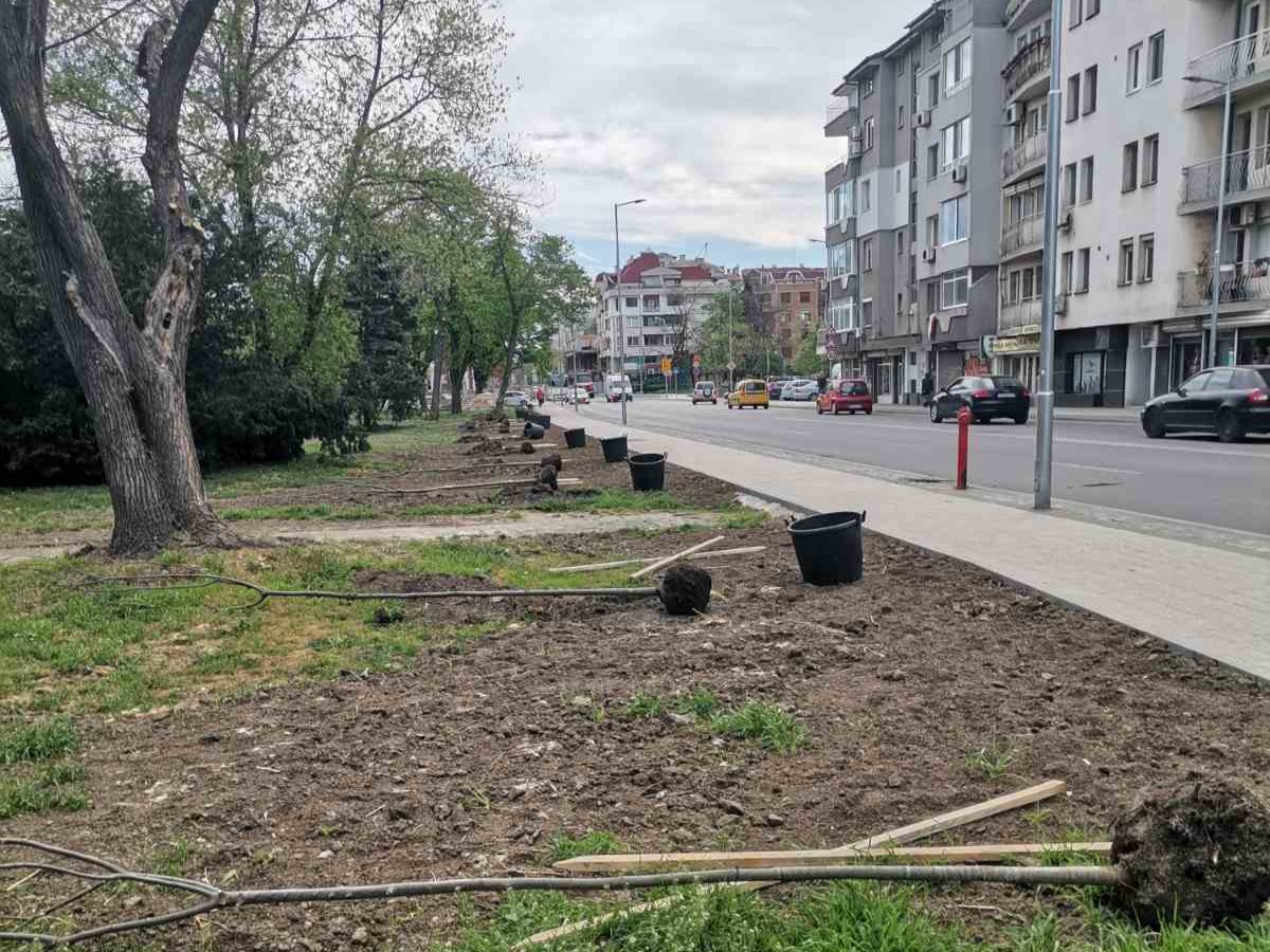 Засадиха 20 дръвчета на ул. "Даме Груев" в "Южен" (СНИМКИ)