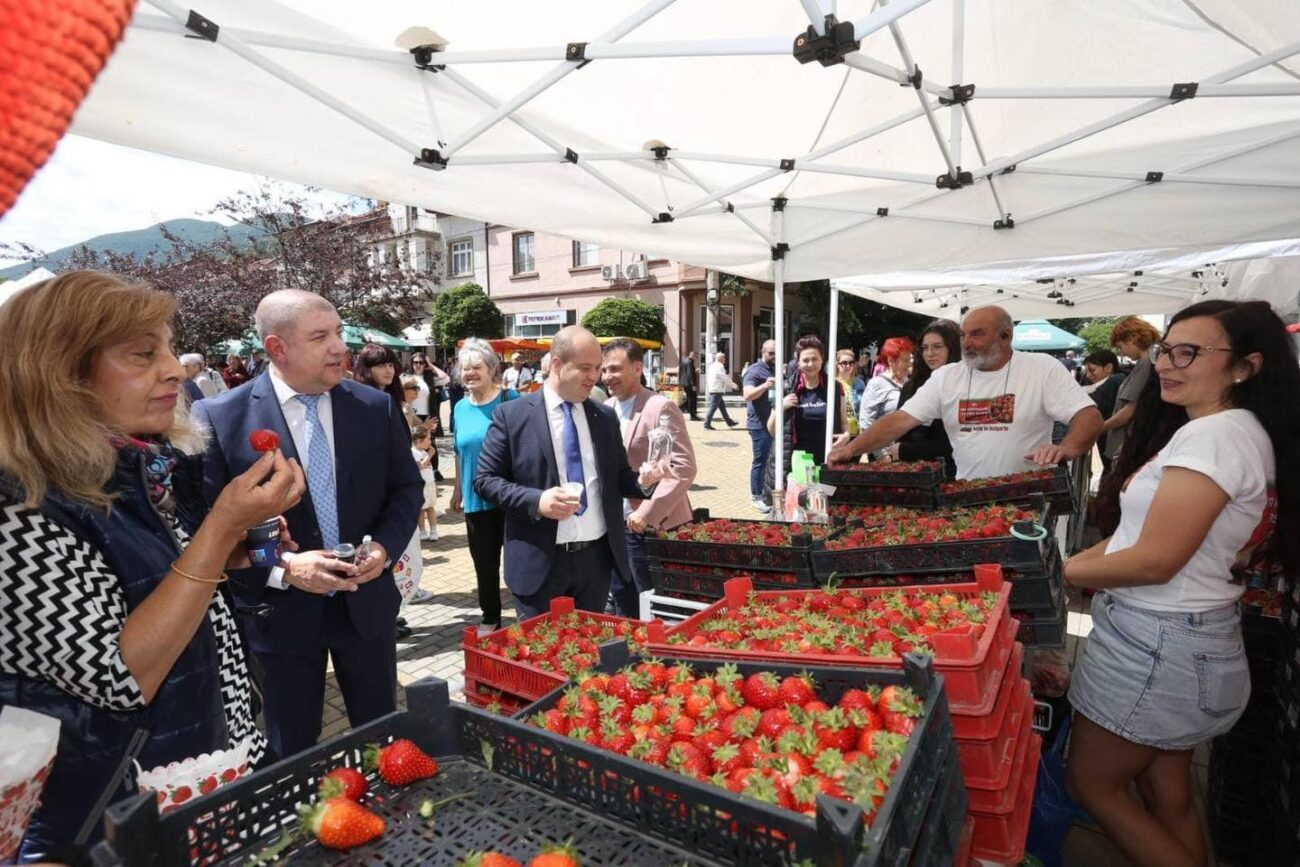 Фестивалът на ягодата в Кричим завърши с атрактивни конкурси (СНИМКИ)