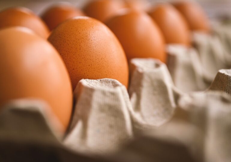 Ваксината за птичи грип се прави от яйца… и това притеснява учените