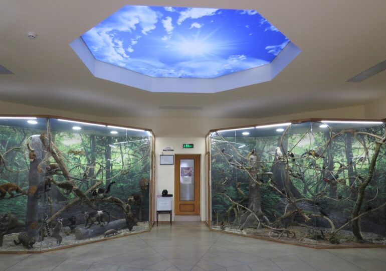 Регионалният природонаучен музей в Пловдив кани на „Първи природонаучен панаир“