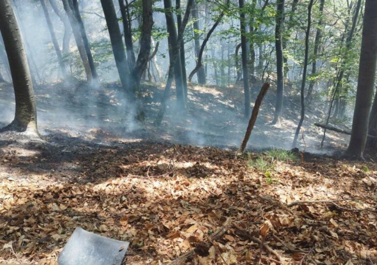 С 2 самолета и 4 хеликоптера: Борбата с пожара край Воден продължава