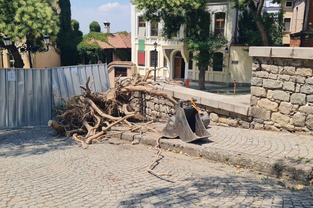 Започна укрепването на подпорна стена в Стария град (СНИМКИ)