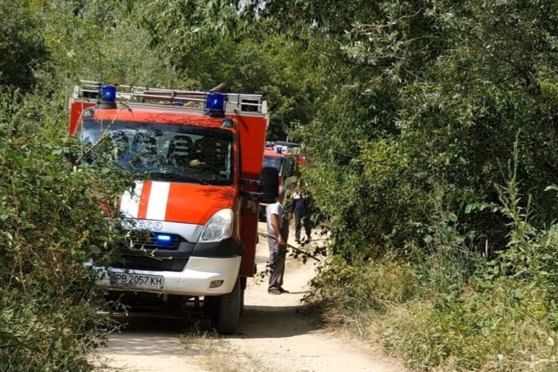 Пожар гори над асеновградското село Новаково