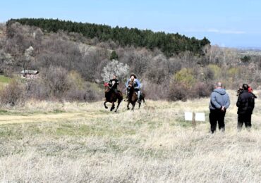 Държавно първенство по конен спорт край Асеновград