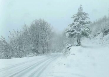 Важно: Затвориха пътя между Смолян и Пампорово, вижте причината (ВИДЕО)