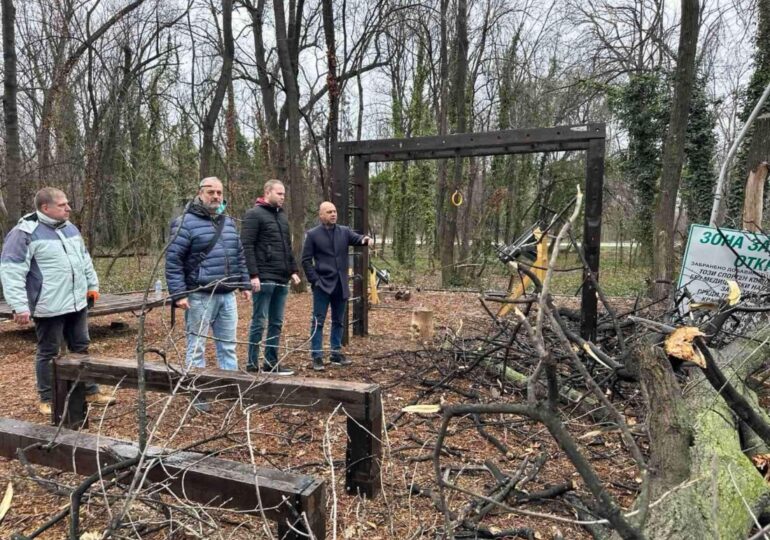 Дърво падна върху фитнес площадката в парк „Лаута”