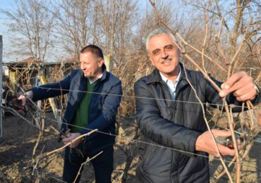 Кметът на Община Марица заряза лозите на Трифон Зарезан в Рогош, Труд и Маноле (СНИМКИ)