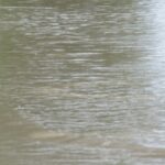 „Нямаше дъно, беше се хванал за дърво: Водолази спасиха ученик от воден капан в търновско село (ВИДЕО)