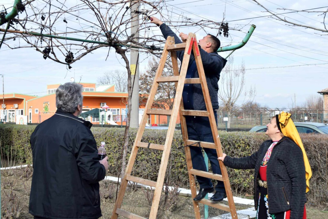 В Крислово и Войводиново празнуваха Трифон Зарезан с конкурси (СНИМКИ)