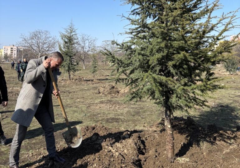 Община Пловдив даде старт на пролетната залесителна кампания (СНИМКИ)