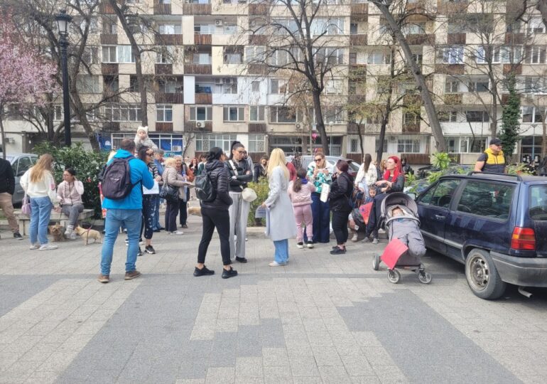 "Те нямат глас, но ти имаш": Пловдив на протест срещу насилието над животни (ВИДЕО и СНИМКИ)