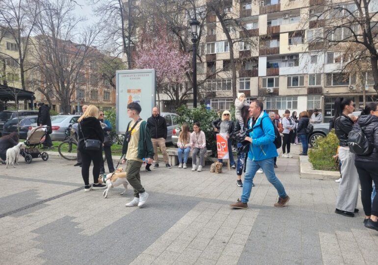 "Те нямат глас, но ти имаш": Пловдив на протест срещу насилието над животни (ВИДЕО и СНИМКИ)