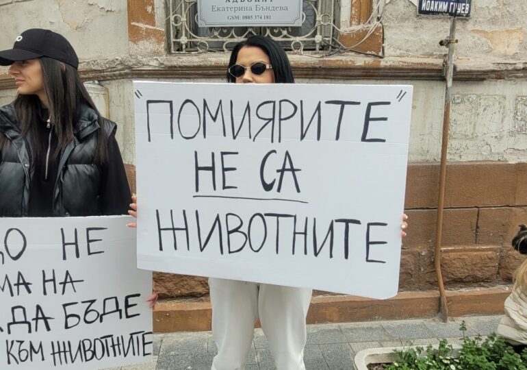 "Те нямат глас, но ти имаш": Пловдив на протест срещу насилието над животни (ВИДЕО и СНИМКИ)