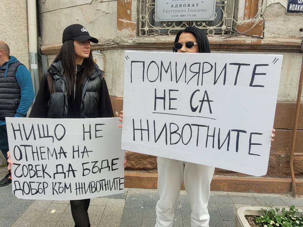 "Те нямат глас, но ти имаш": Пловдив на протест срещу насилието над животни (ВИДЕО и СНИМКИ)