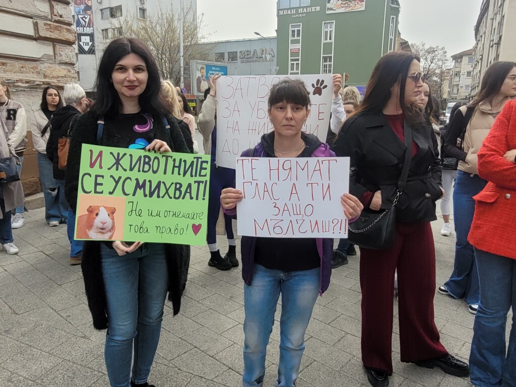 „Те нямат глас, но ти имаш“: Пловдив на протест срещу насилието над животни (ВИДЕО и СНИМКИ)