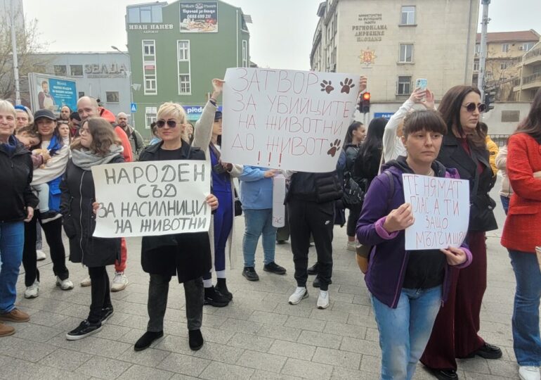 "Те нямат глас, но ти имаш": Пловдив на протест срещу насилието над животни (ВИДЕО и СНИМКИ)