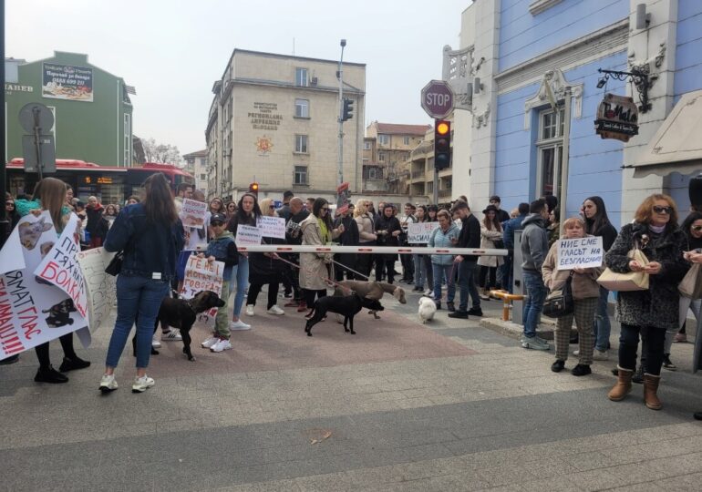 "Те нямат глас, но ти имаш": Пловдив на протест срещу насилието над животни (ВИДЕО и СНИМКИ)