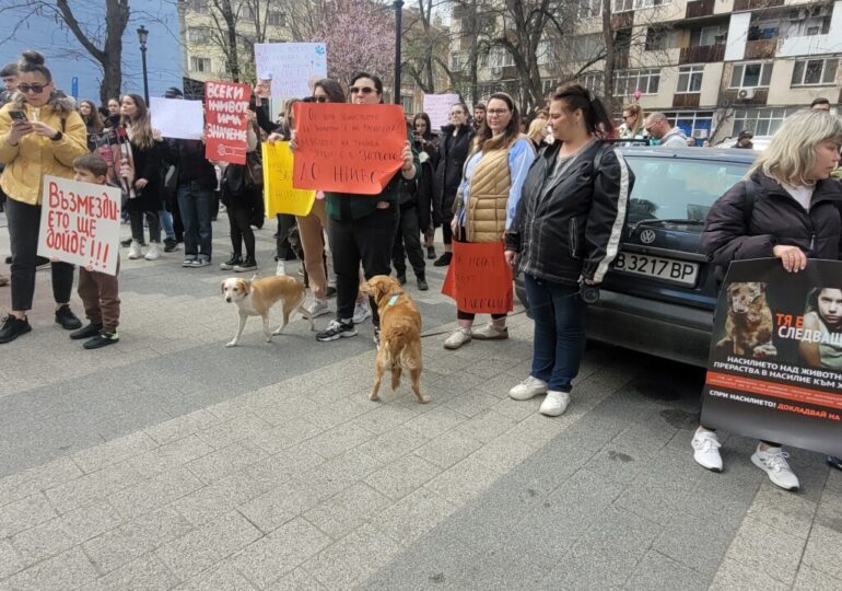 "Те нямат глас, но ти имаш": Пловдив на протест срещу насилието над животни (ВИДЕО и СНИМКИ)