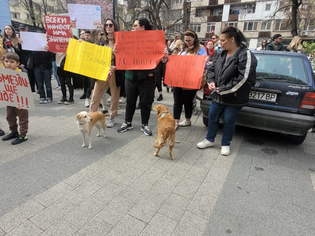 "Те нямат глас, но ти имаш": Пловдив на протест срещу насилието над животни (ВИДЕО и СНИМКИ)