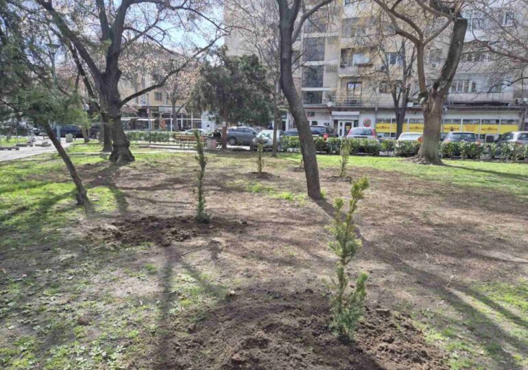 Мащабна залесителна акция се проведе в район "Източен" (СНИМКИ)