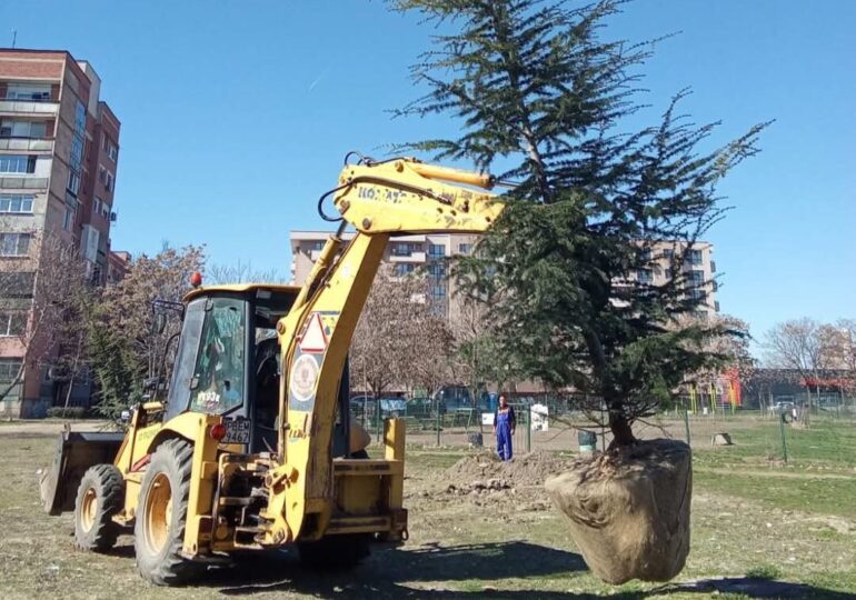 Мащабна залесителна акция се проведе в район "Източен" (СНИМКИ)