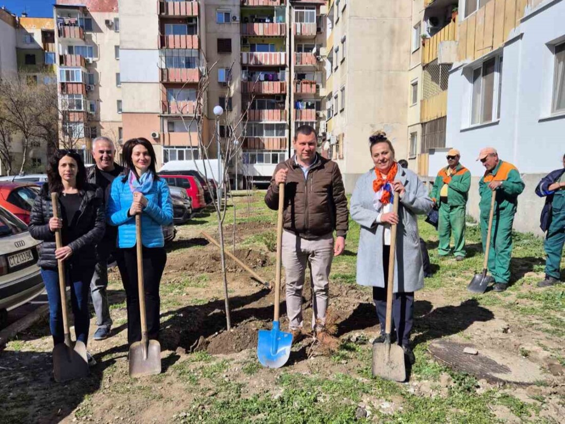 Поредна залесителна акция в „Южен“ (СНИМКИ)