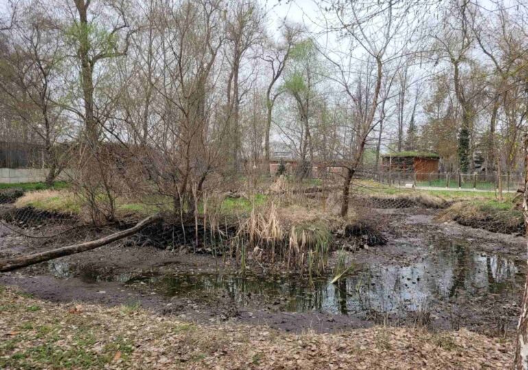 С нов директор: Завършват поетапно зоологическата градина в Пловдив (СНИМКИ)