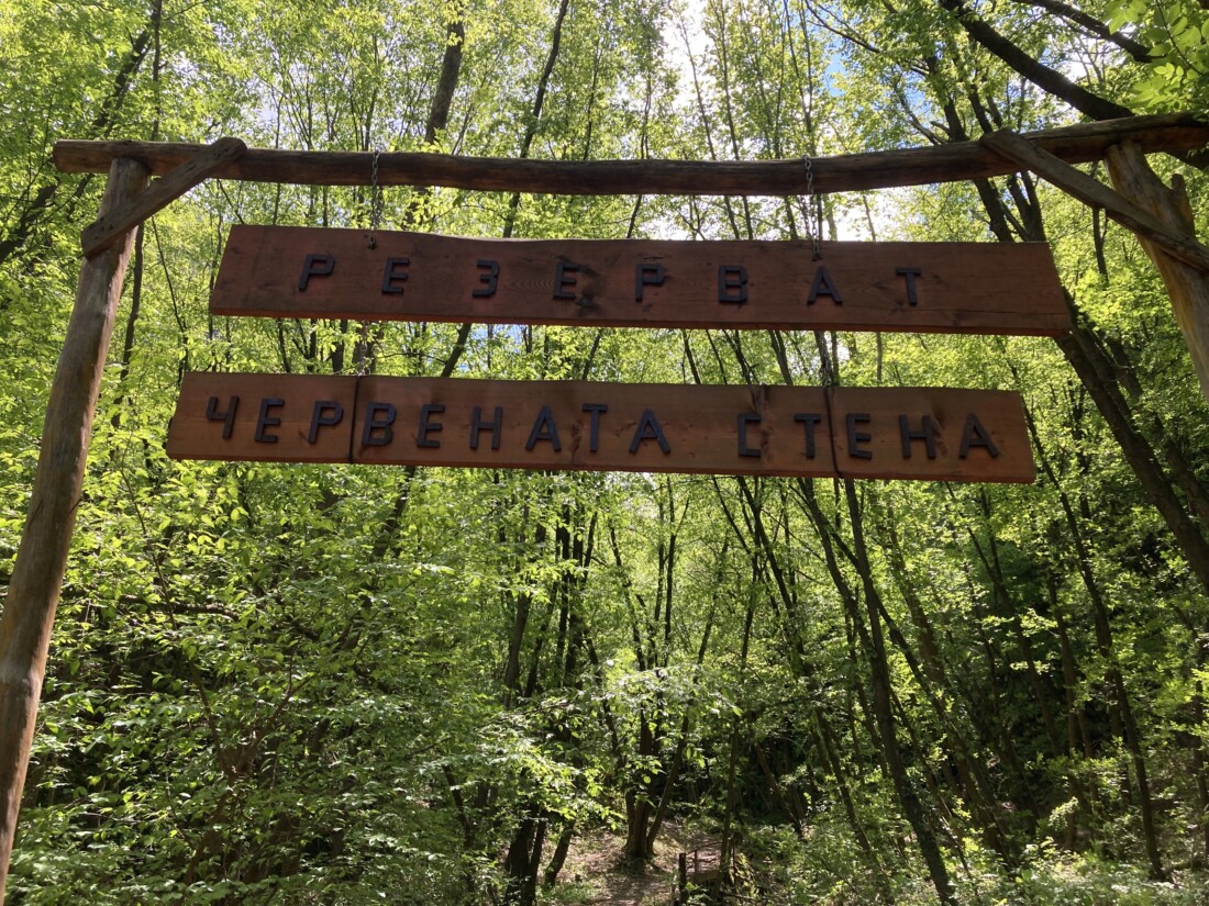 РИОСВ – Пловдив почисти екопътеки в резерват „Червената стена“ и засили мерките срещу пожари в защитените територии (СНИМКИ)