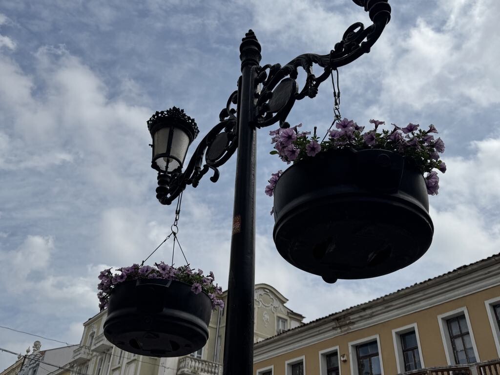 Стотици цветя преобразиха централната пешеходна зона на Пловдив (СНИМКИ)