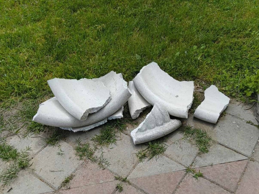 От ОП „Градини и паркове“ показаха грозни гледки от парк в Пловдив (СНИМКИ)