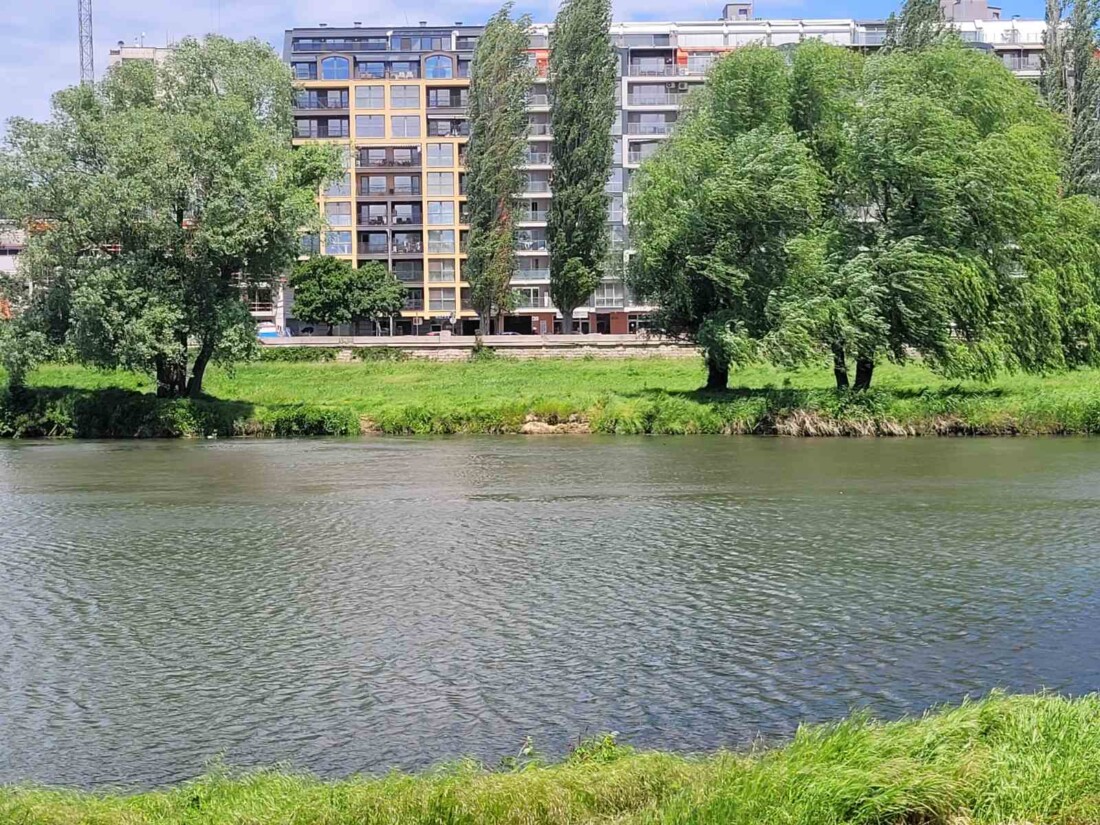 Откриха труп във водите на река Марица (СНИМКИ)
