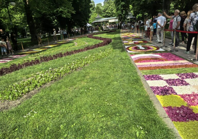 Флоропополис: Азбуката разцъфна на килими от цветя в центъра на Пловдив (ВИДЕО)