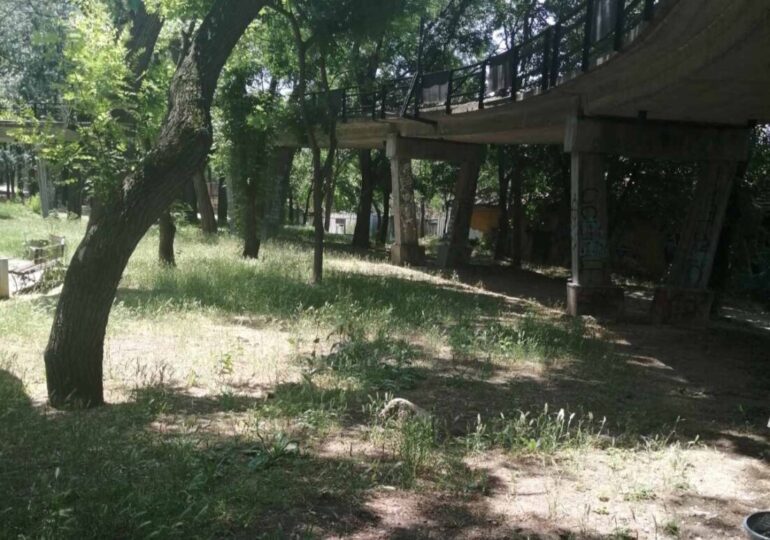 Общински предприятия почистиха зона на Младежкия хълм по сигнал на граждани (СНИМКИ)