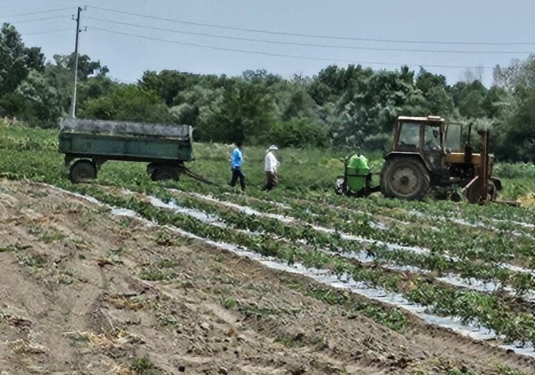 РИОСВ – Пловдив с нова проверка в района на Рогош след замърсяването на Марица