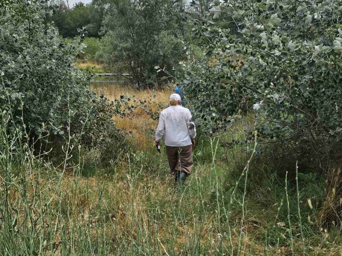 РИОСВ – Пловдив с нова проверка в района на Рогош след замърсяването на Марица