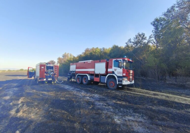 В близост до блокове и магазини: Голям пожар в столичния квартал "Люлин" (ВИДЕО)