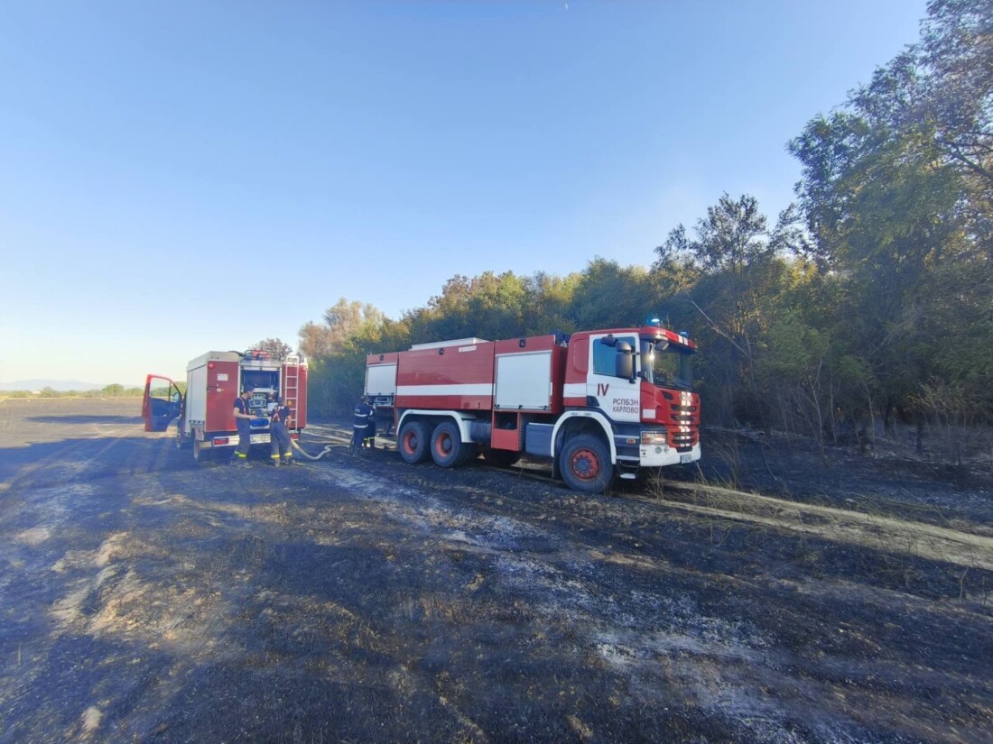 Пожар в житен блок, огнеборци спасиха 500 декара насаждения (СНИМКИ)