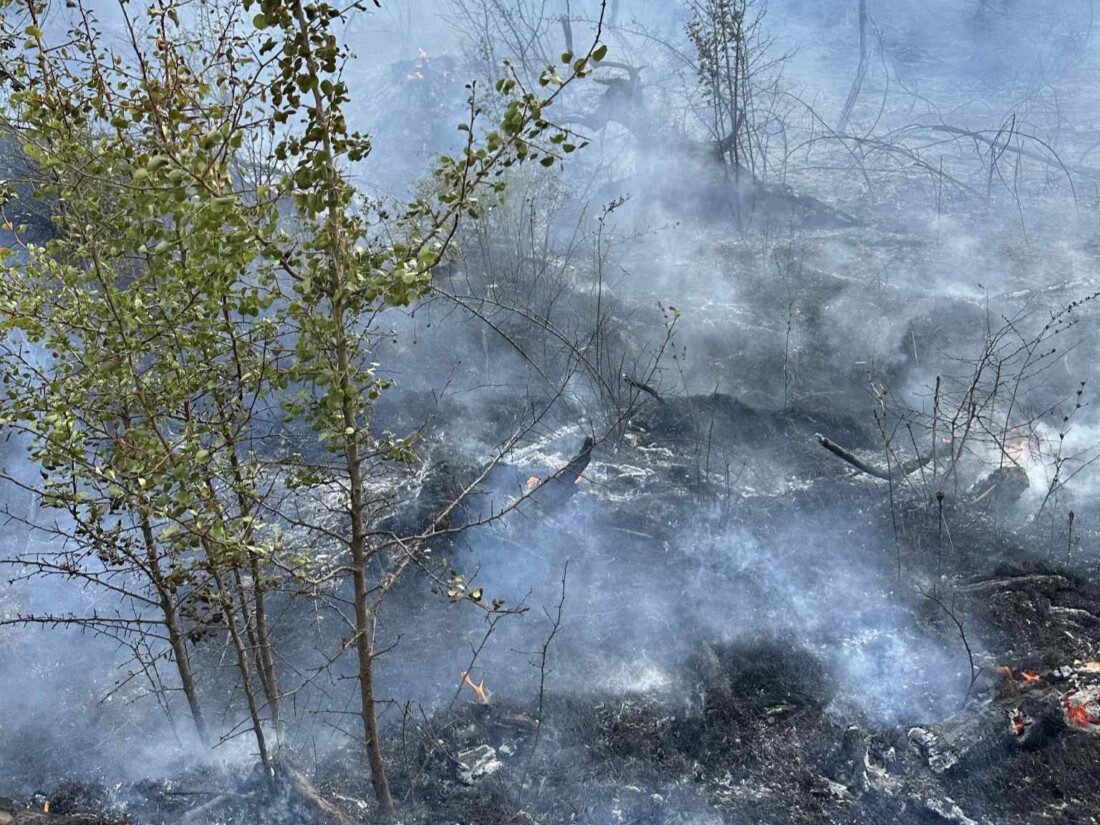 Огнеборци гасят огромен пожар край Старосел (СНИМКИ)